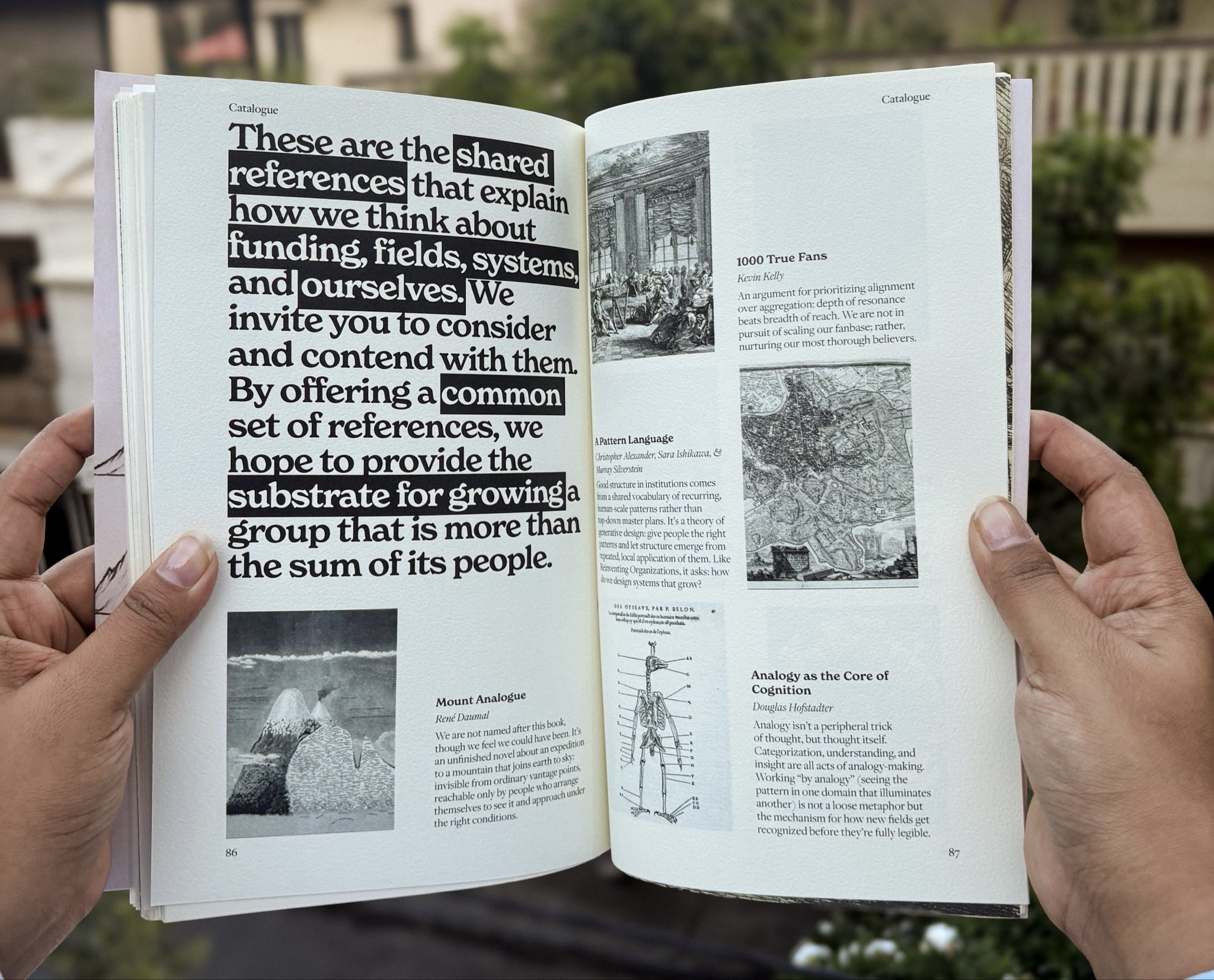 An open copy of catalogue held outdoors, showing the Analogue Curriculum and its shared references